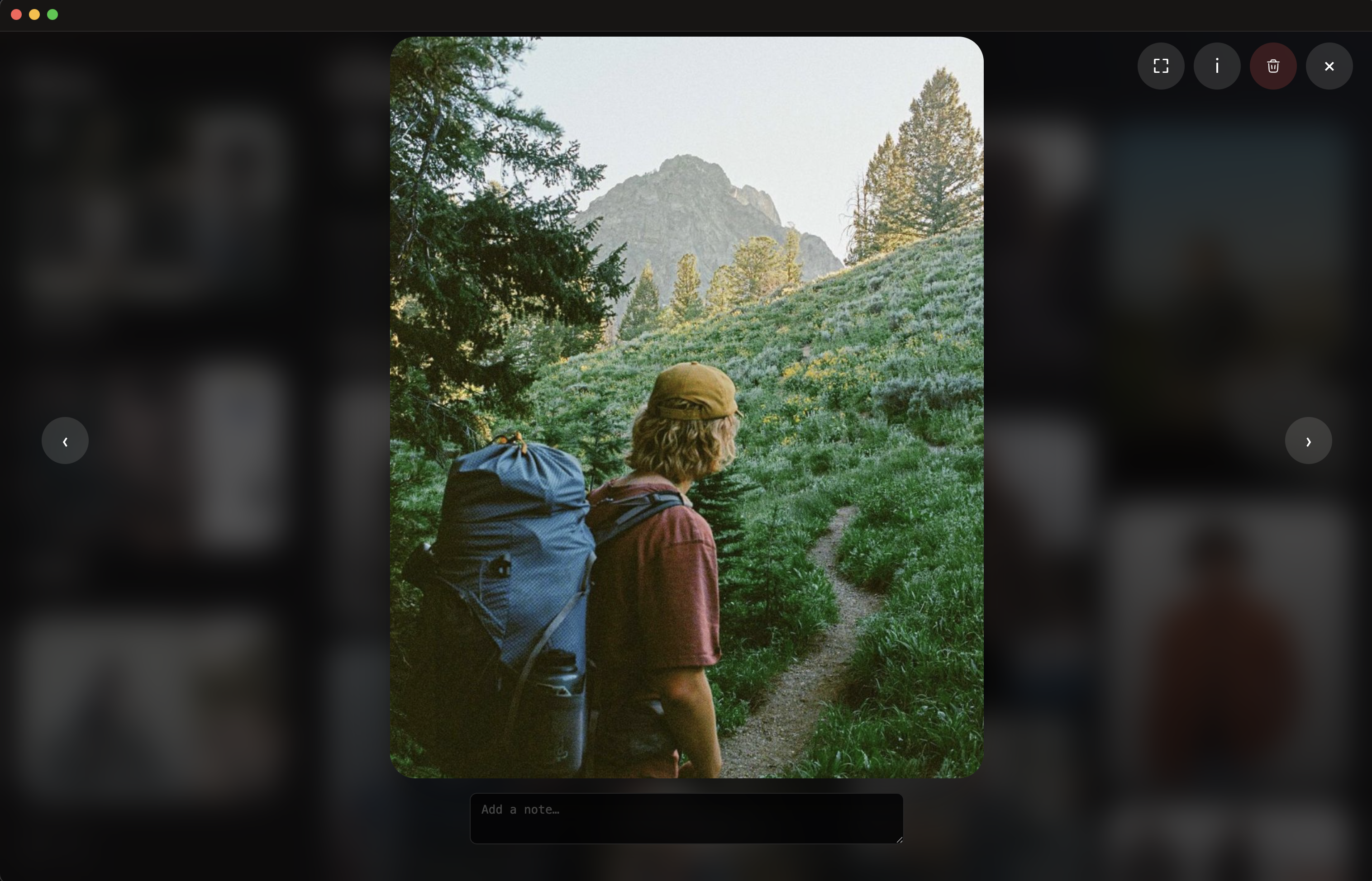 Moss — image viewer